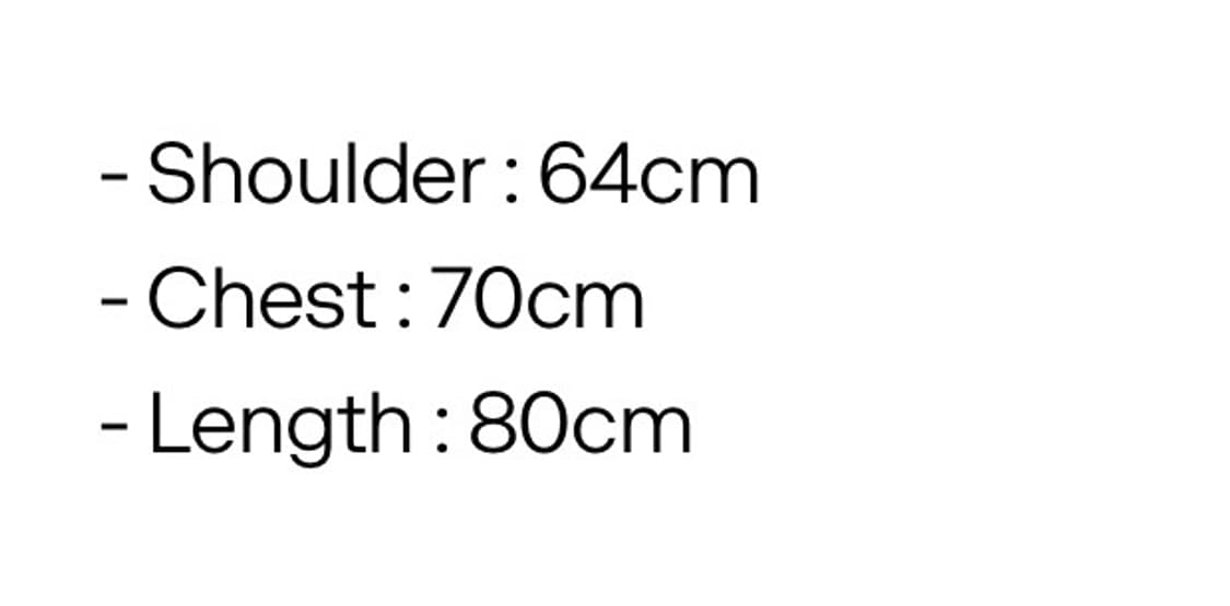 아비렉스 구형 레더 바시티 상품이미지4