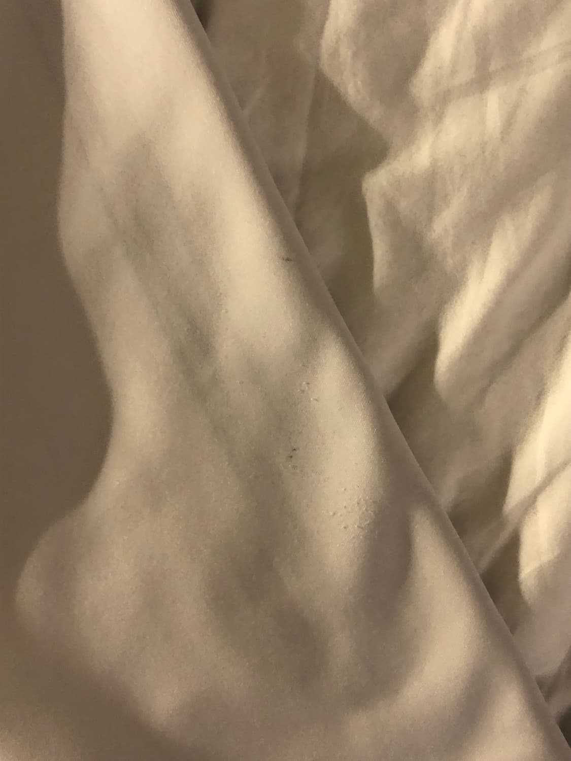 아디다스 져지 흰색 /흰검 상품이미지4