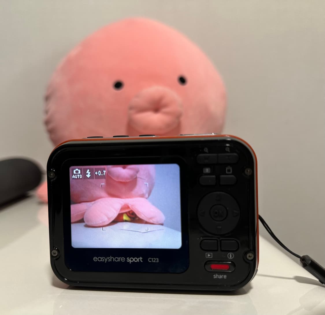 코닥 이지쉐어 c123(방수카메라) 상품이미지7