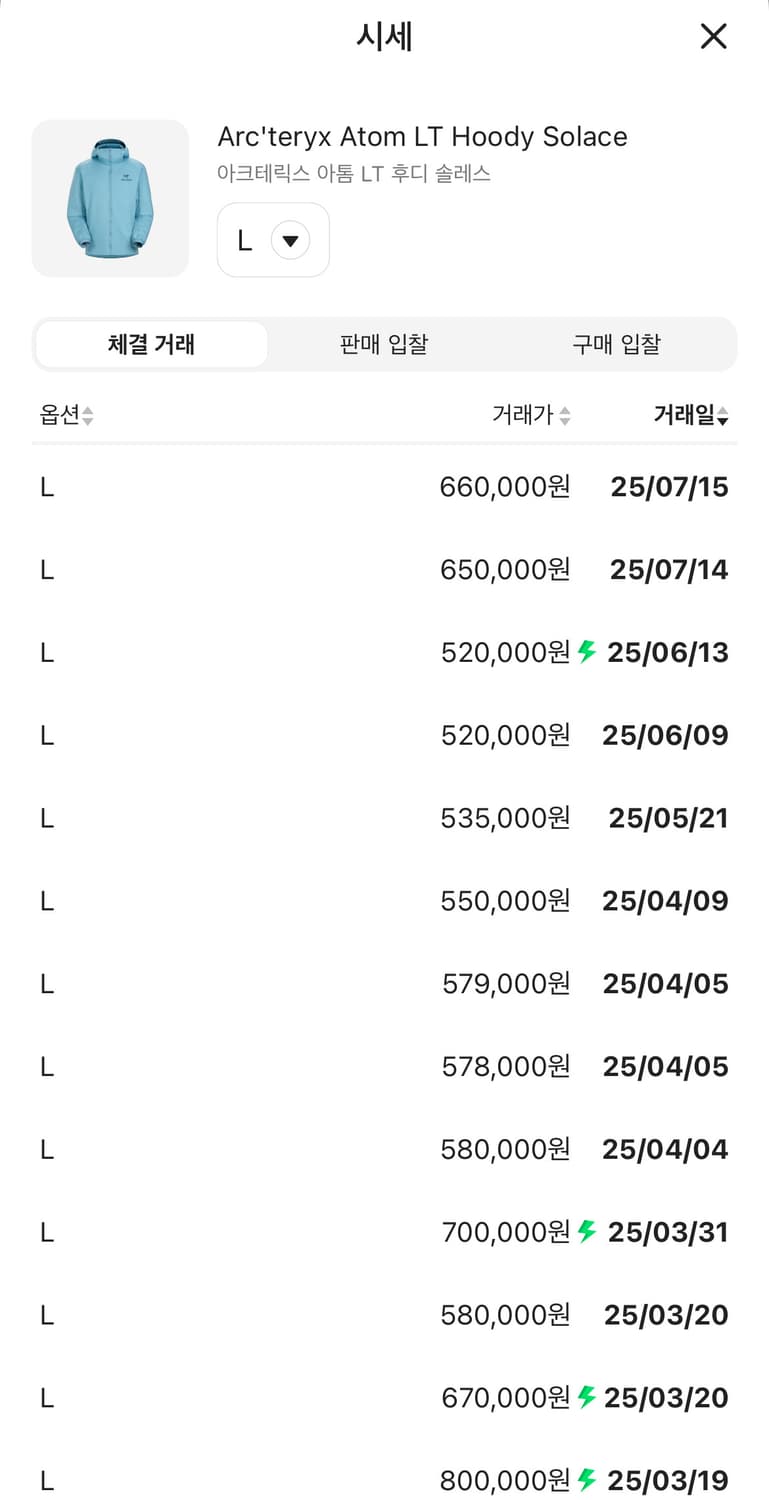 아크테릭스 아톰 LT 후디 솔레스 상품이미지2