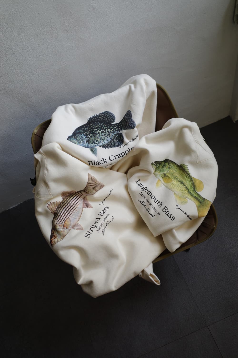 lot of 3 bunddle  상품이미지2