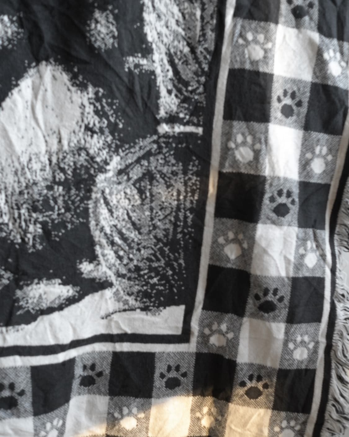 Tabby Cat 상품이미지2