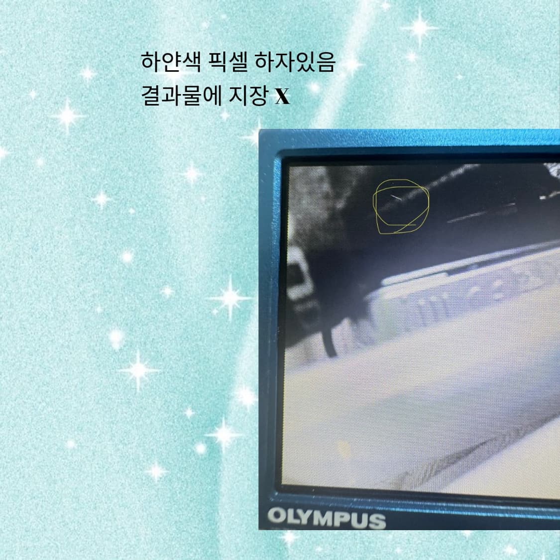 올림푸스 뮤 5010 블루 상품이미지7