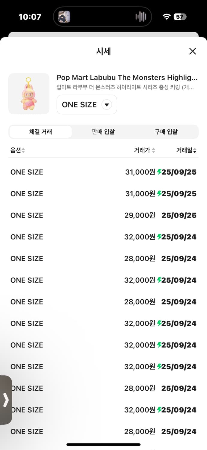 [새상품] 라부부 빅인투에너지 충성 상품이미지7