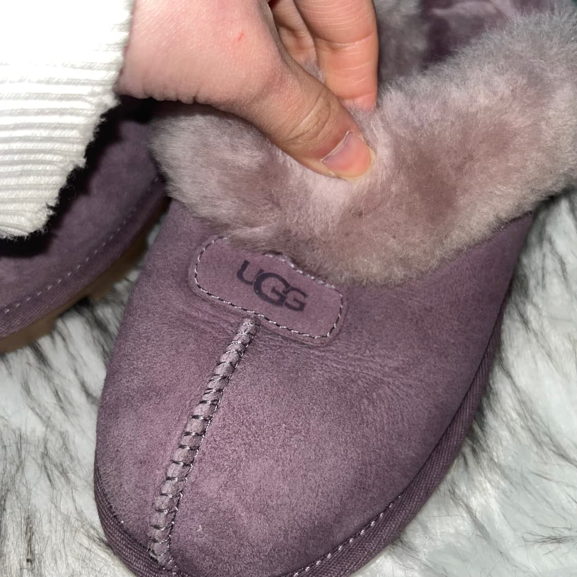 어그 퍼플 퍼클로그 상품이미지3