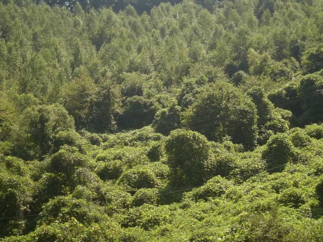 삼성 VLUU l100 판매합니다 상태좋아요✨ 상품이미지5