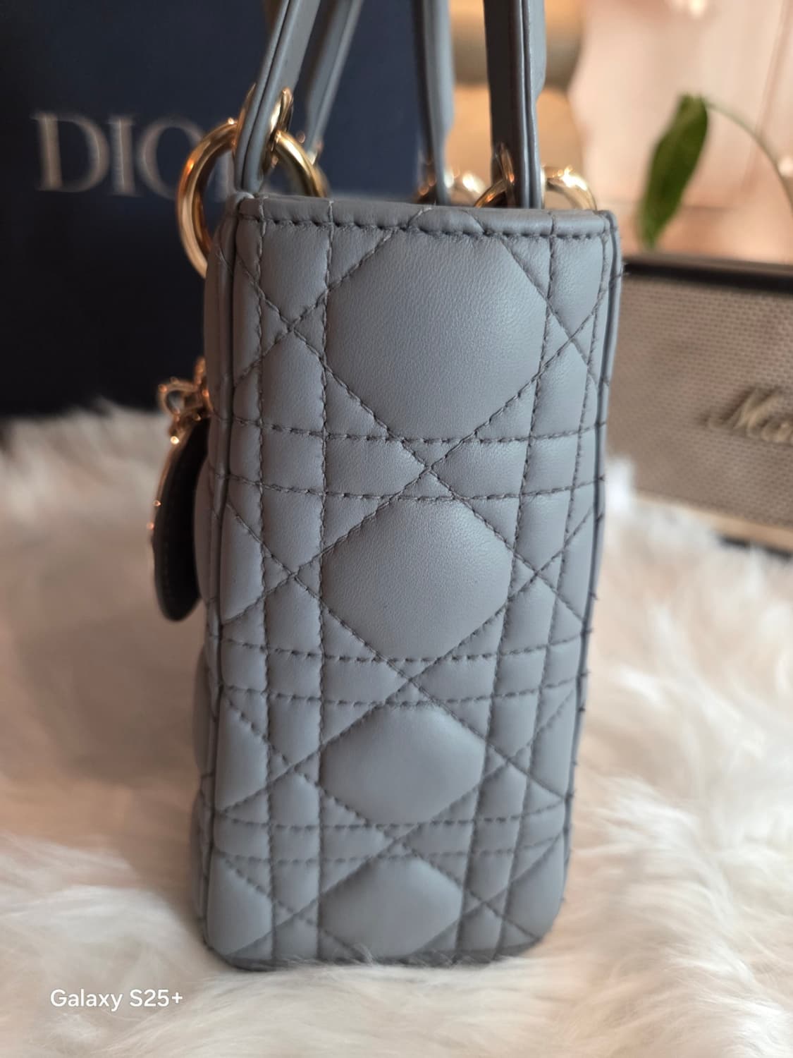디올 레이디백 최신형 디자이너 엘레나 에디션 상품이미지6