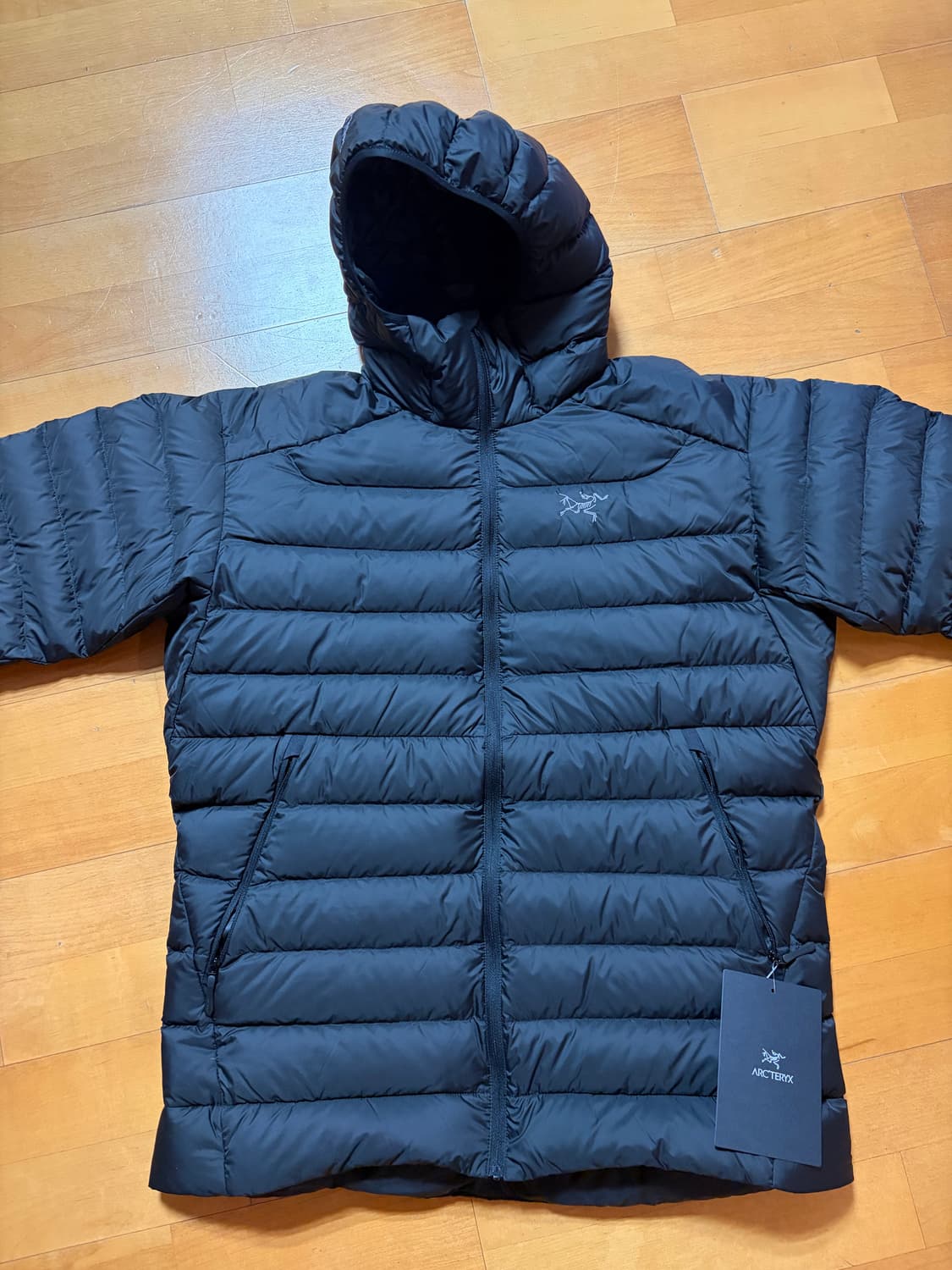 [L] 아크테릭스 세륨 후디 블랙 상품이미지1