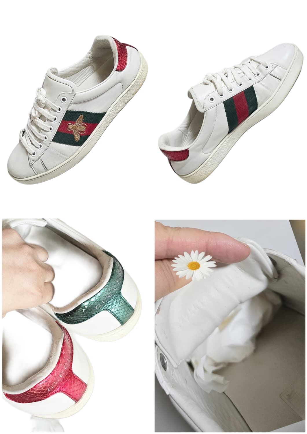 구찌 스니커즈250~255 상품이미지3