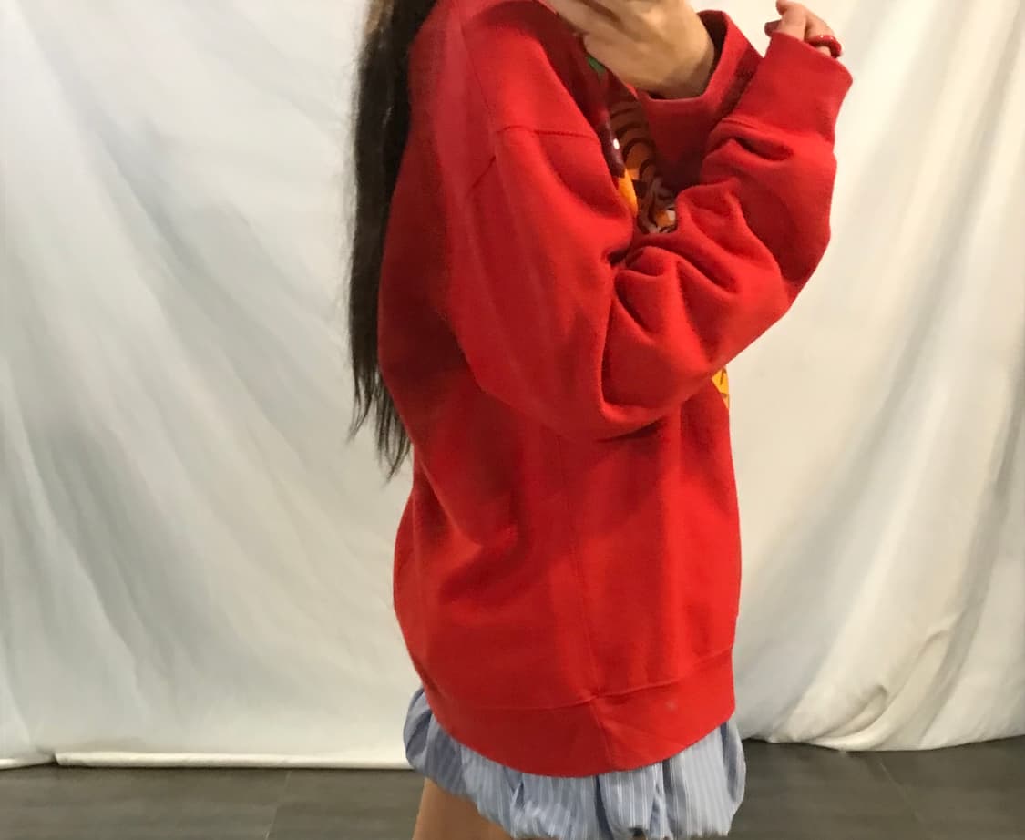 BBC tigger ice cream sweatshirt 상품이미지4