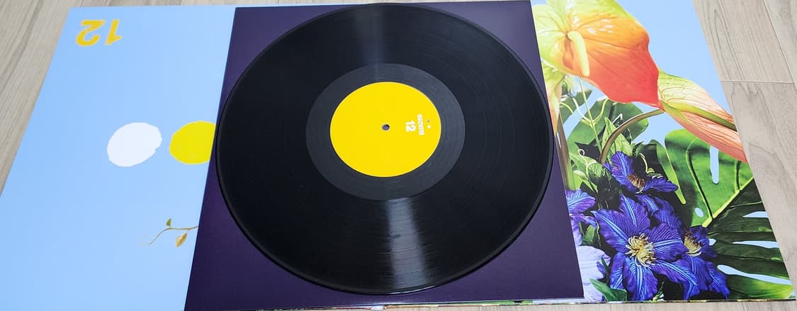 빈지노 12 LP 블랙 상품이미지5