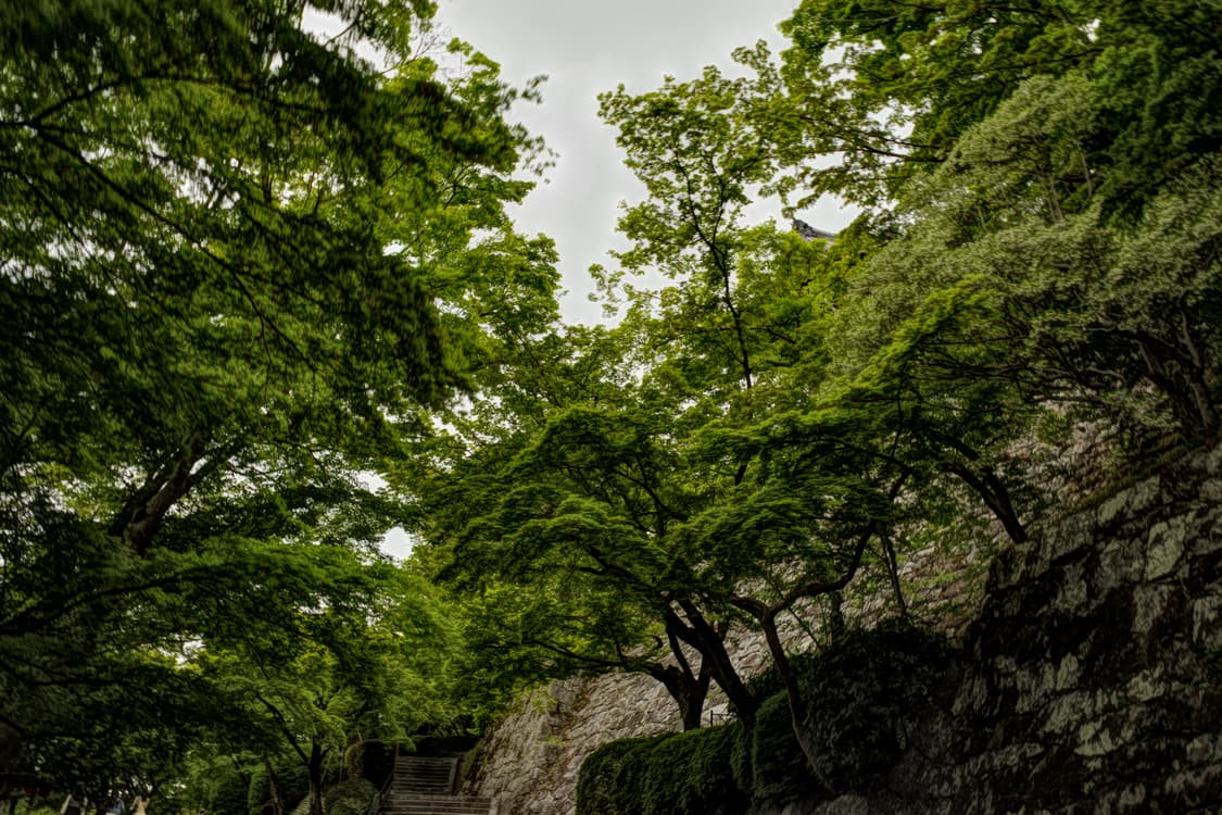 하이엔드&강추!) Ricoh GX100 디카 카메라 상품이미지4