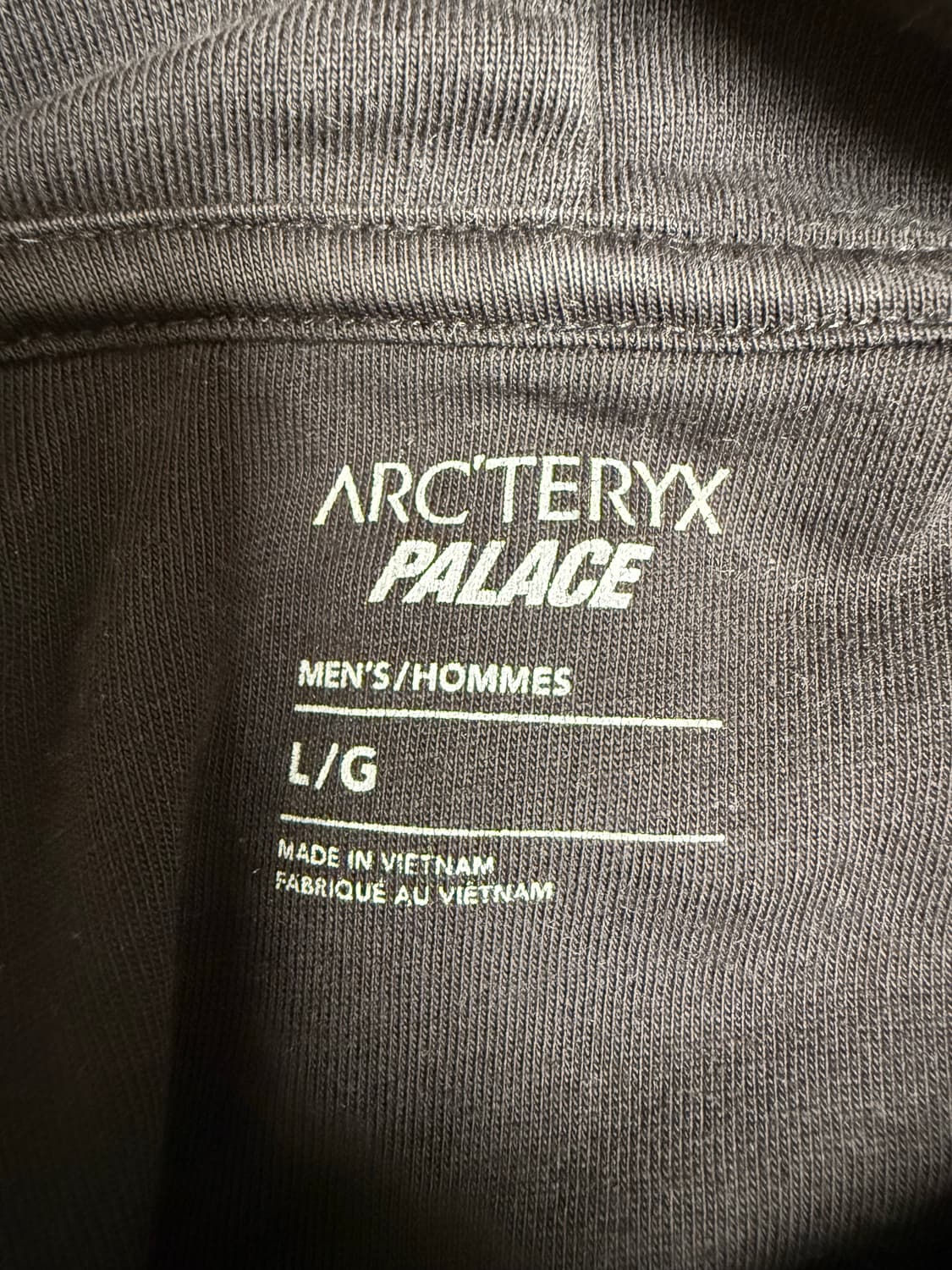 (L) 팔라스 아크테릭스 후드 블랙 상품이미지10