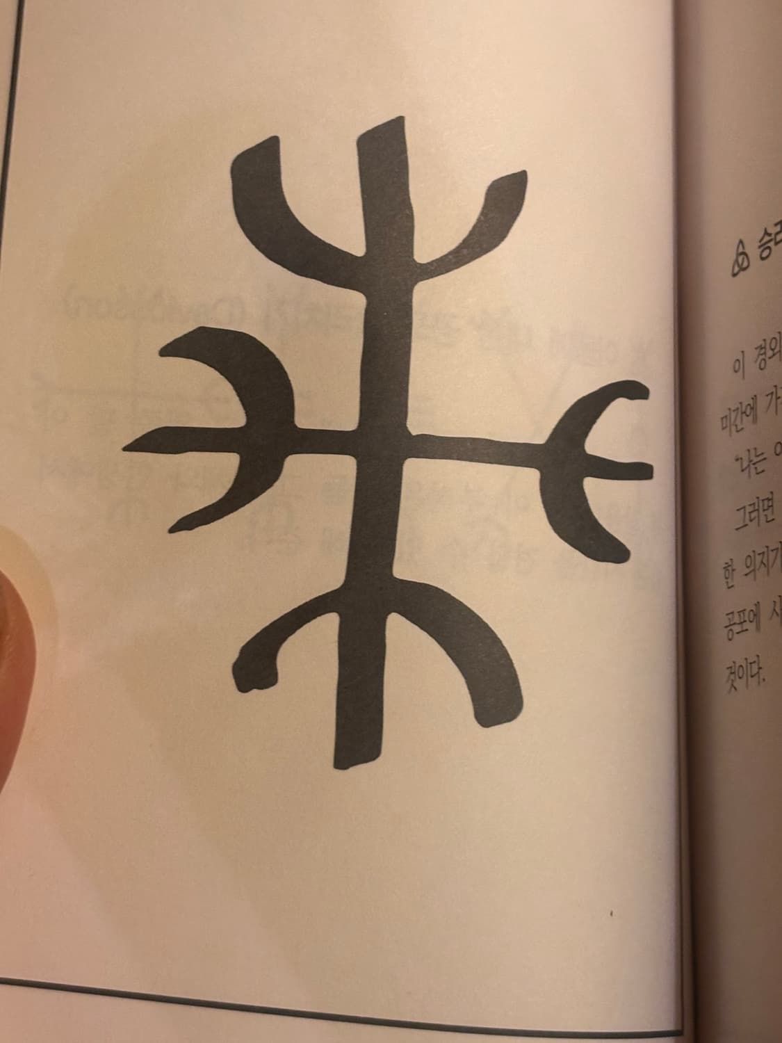 Safari님 개인결제창 상품이미지1