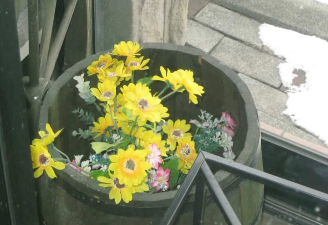 캐논 익시 20is/익서스 80is 빈티지 디지털 카메라(작례있음) 상품이미지5