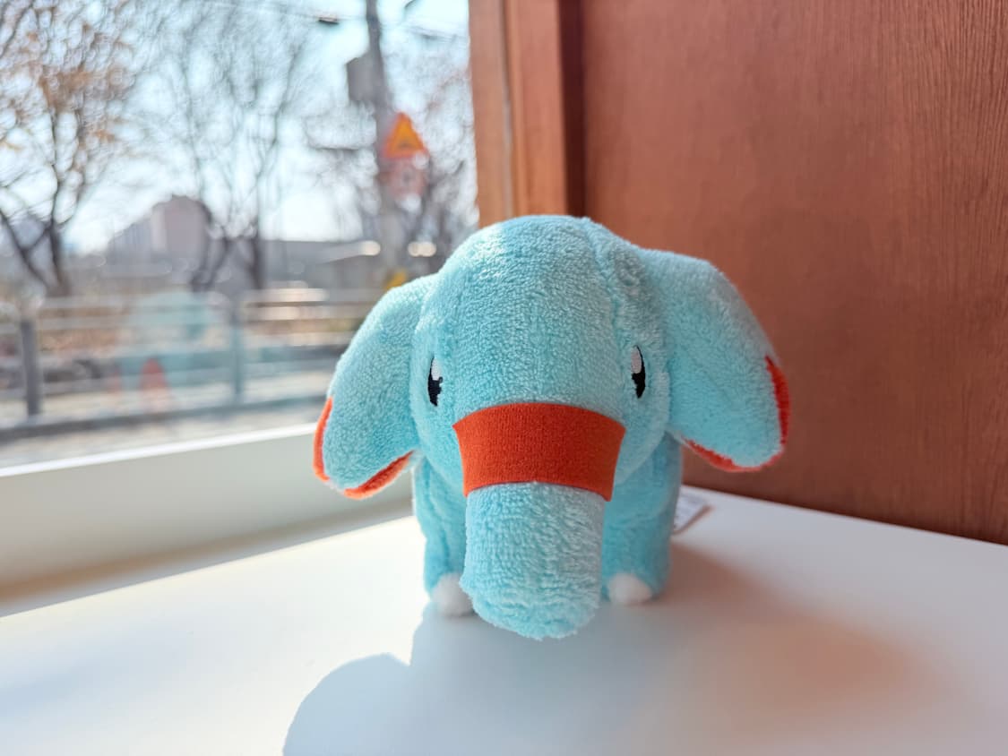 일본 반다이 포켓몬 코코리 봉제인형 15cm 상품이미지5