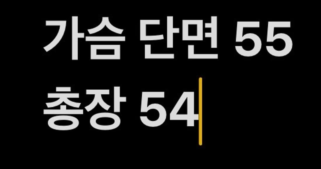 [정품/85,S] 스노우피크 반팔 바람막이 b8 상품이미지9