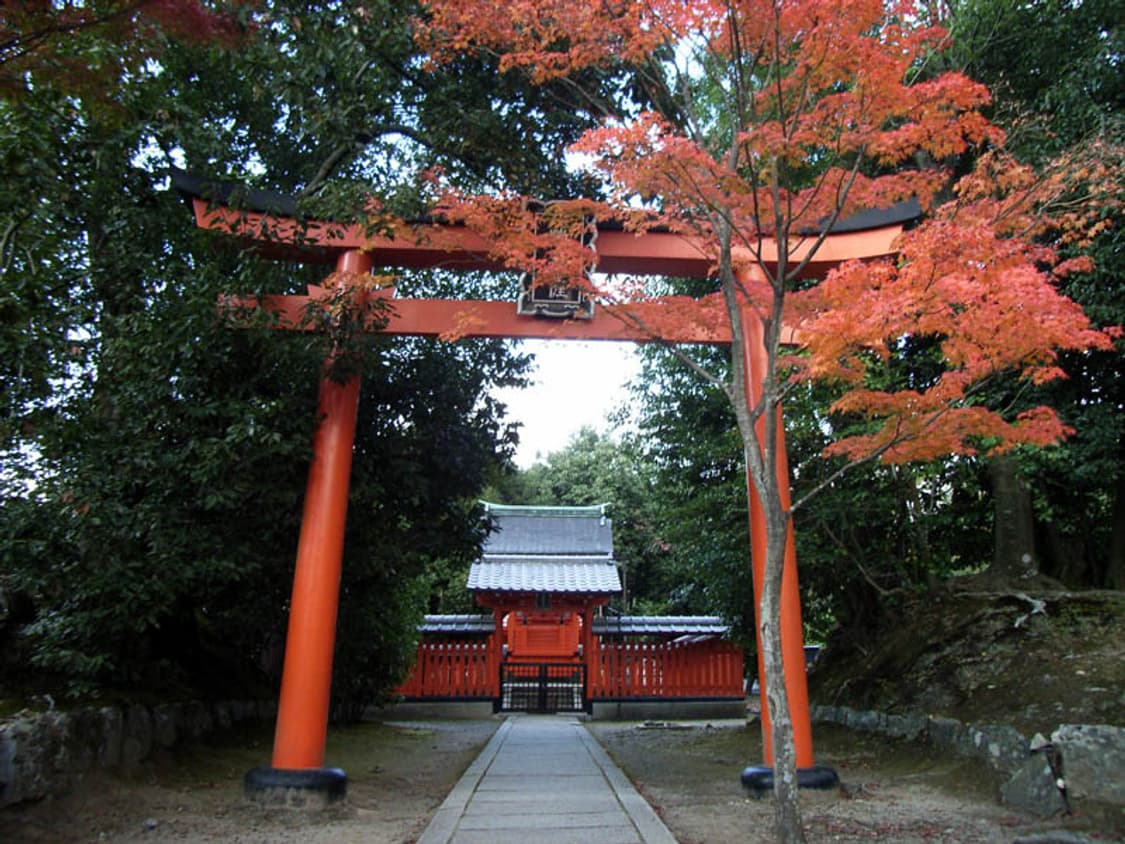 Canon PowerShot A430 (캐논 파워샷 A430) 상품이미지10