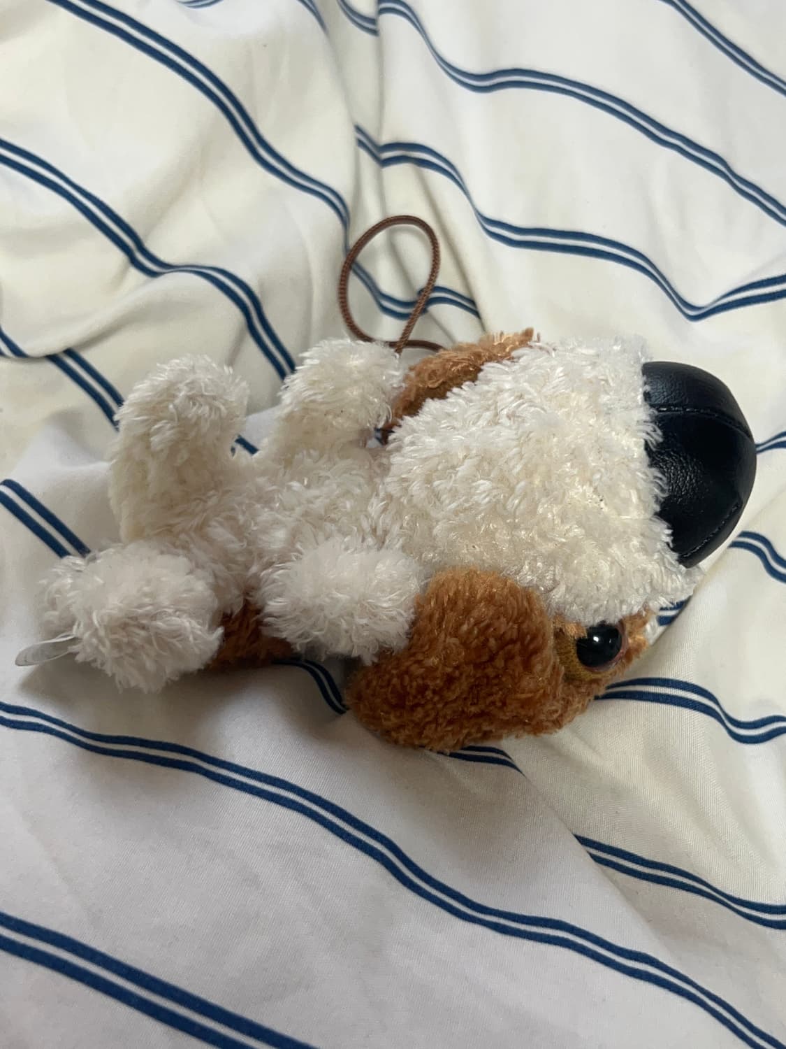 더독 강아지 스트랩 키링 인형 상품이미지2