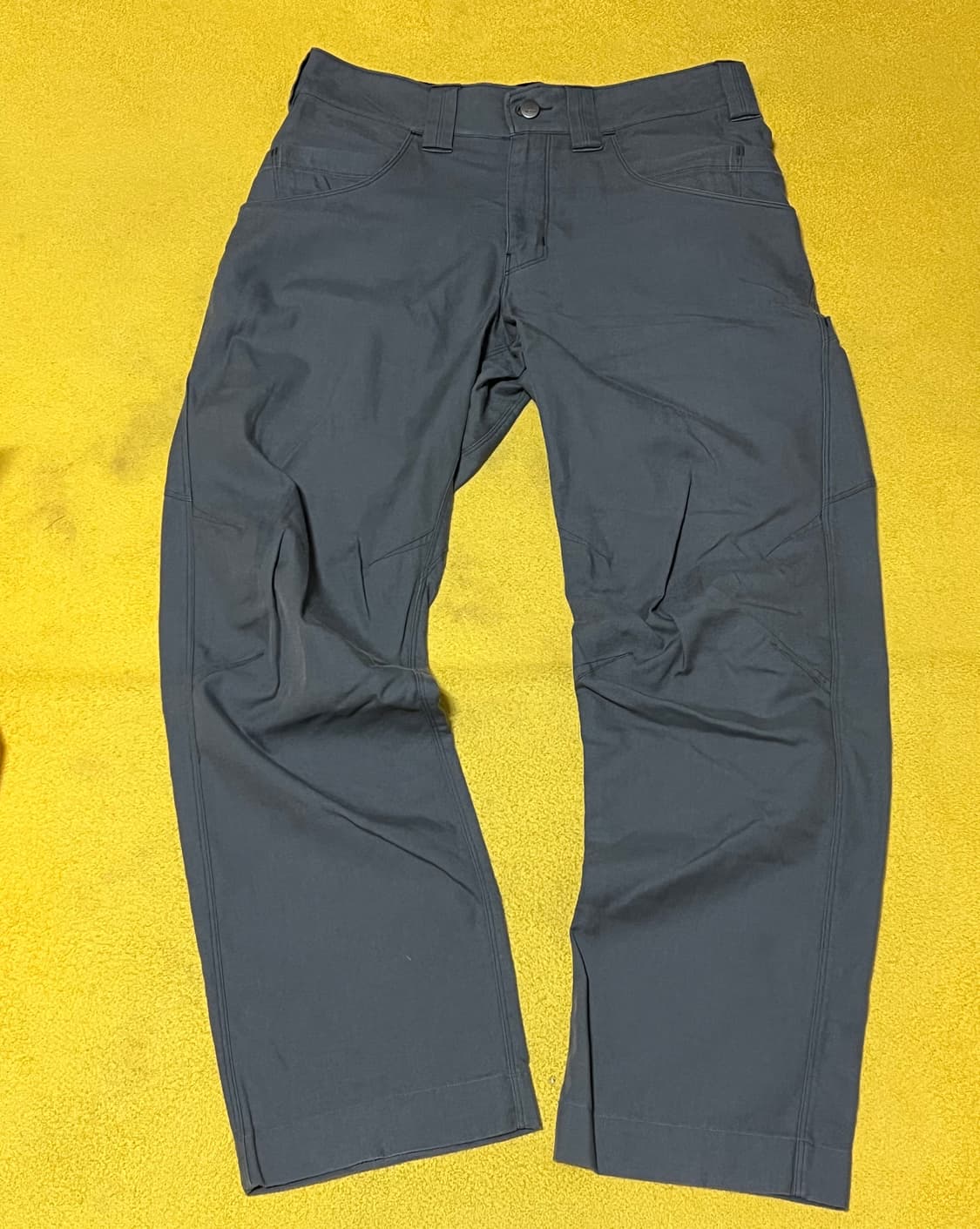 아크테릭스 리프 엑스펑셔널 바지 상품이미지1