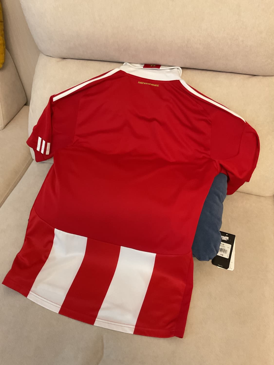 Adidas Paraguay 10/11uniform 상품이미지7