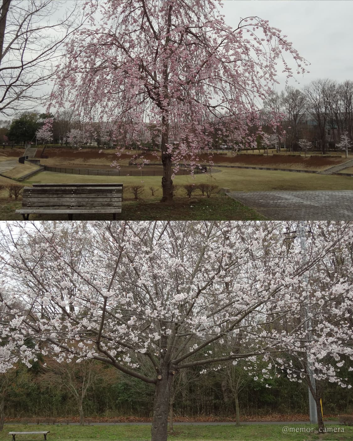 소프트스킨기능💖SONY DSC-WX7 소니카메라 빈티지디카 상품이미지7