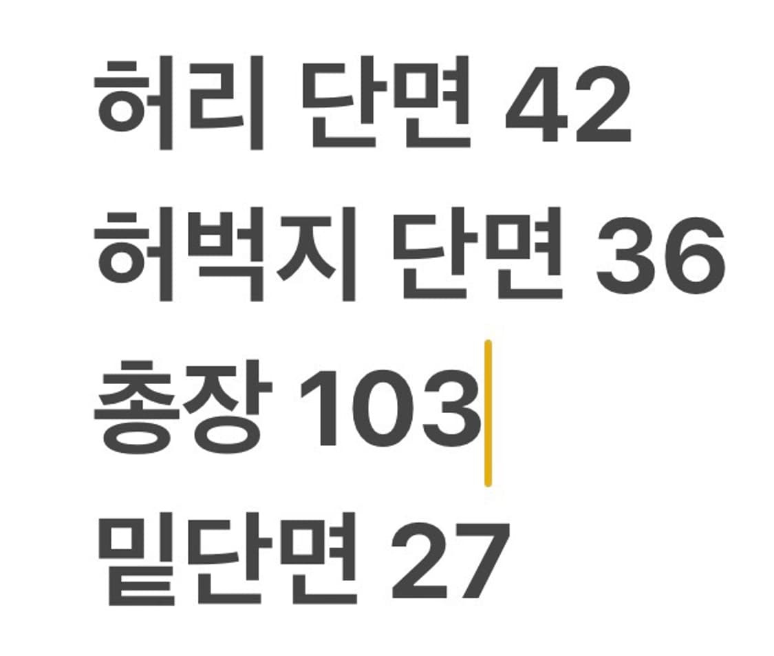 [정품/L] 노스페이스 블랙 스키 보드 바지 b14 상품이미지6