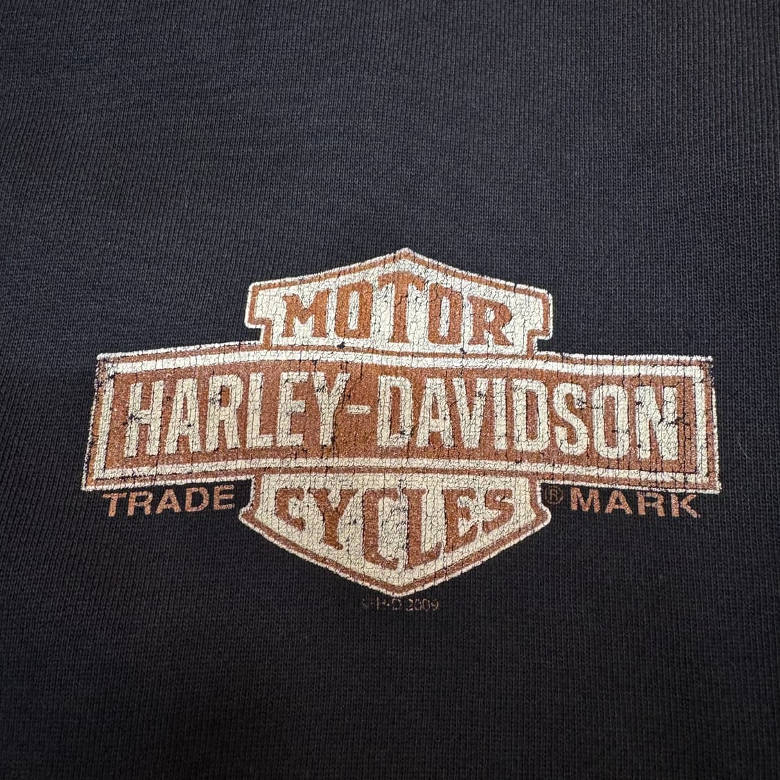 할리데이비슨 블랙힐스 데미지 후드 집업 (XL) 상품이미지5