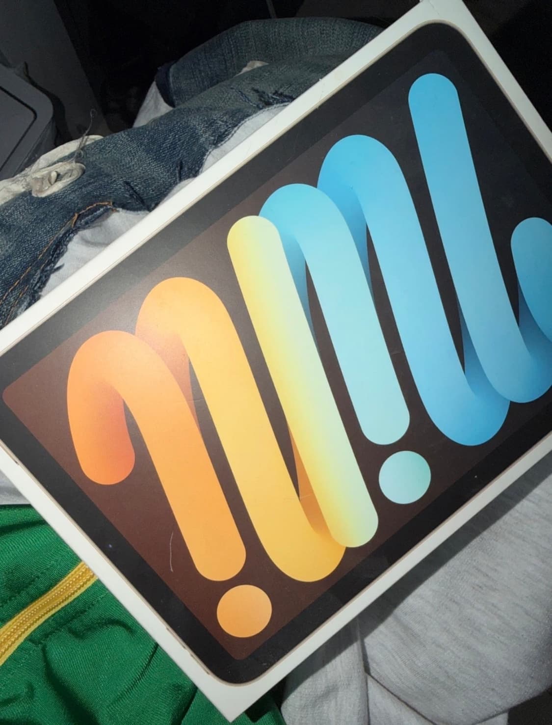 아이패드 미니6세대 스타라이트(실버) 256기가 상품이미지2