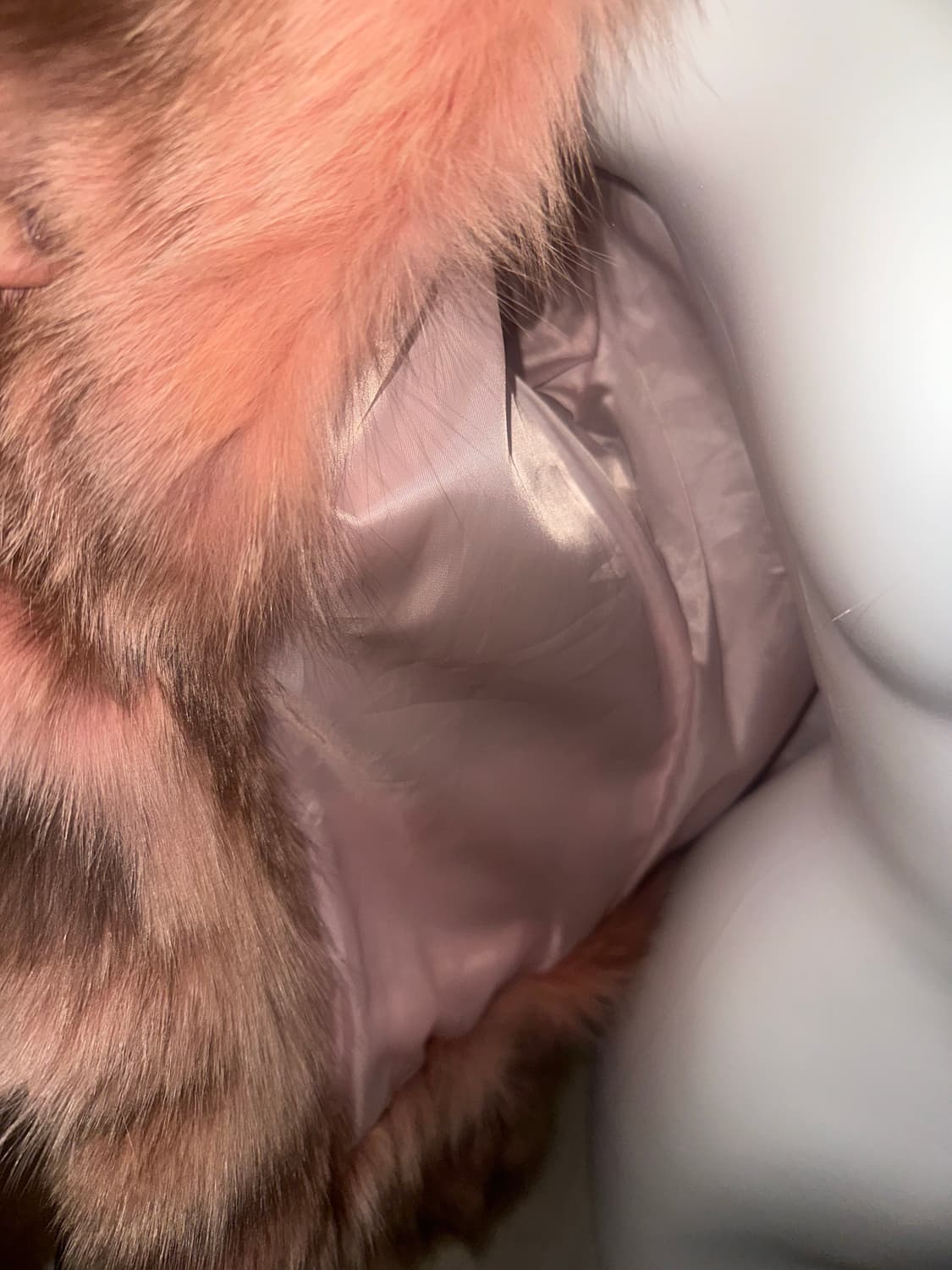 빈티지 핑크 폭스 퍼자켓 상품이미지6