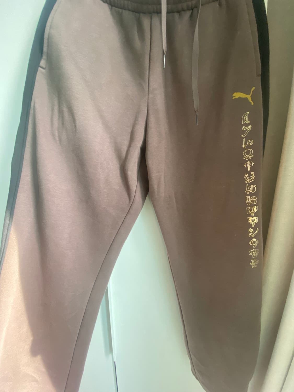 PUMA × Monster Hunter Wilds 바지 상품이미지1