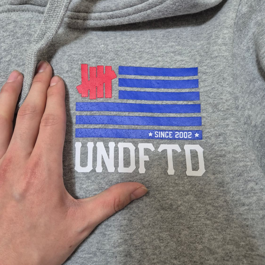 언디피티드 미국 로고 후드티 상품이미지6