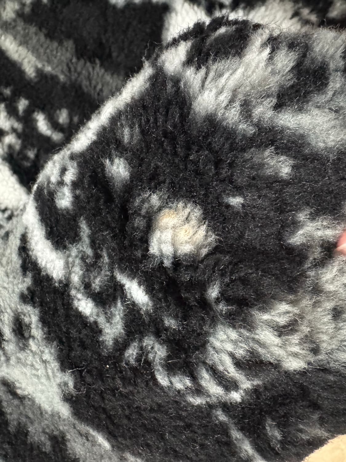 칼하트wip 하이플레인스 라이너 자켓 상품이미지4