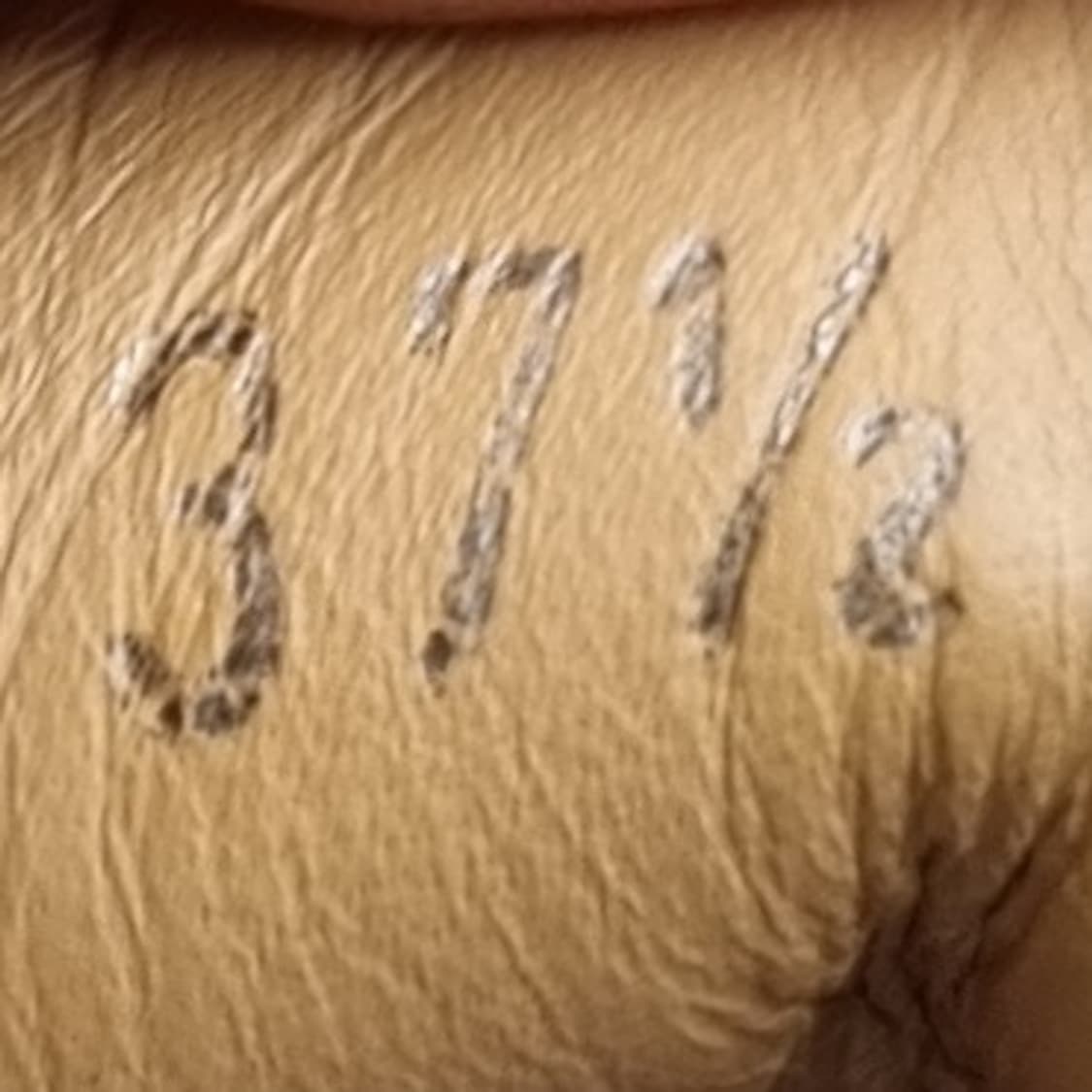 토즈 스웨이드 여성스니커즈245 굽4.5 상품이미지6