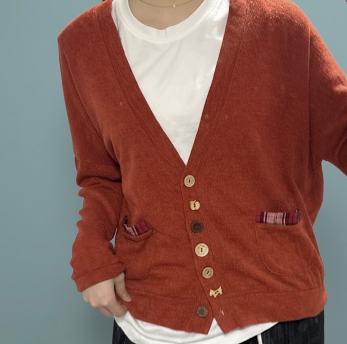[~2.12](마지막 가격)빈티지 강아지/사과 단추 버튼 모리 가디건 상품이미지1