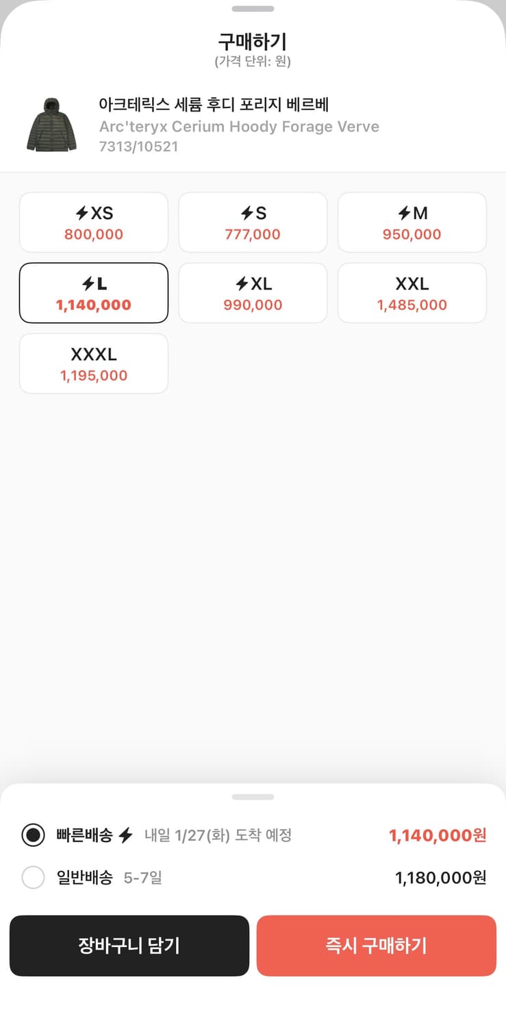 아크테릭스 세륨 후디 포리지 베르베 L 상품이미지2