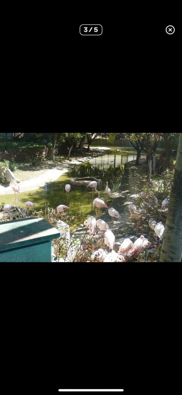 🤍유키카메라🤍 루믹스 파나소닉 fx-33 디지털카메라 빈티지카메라 상품이미지9