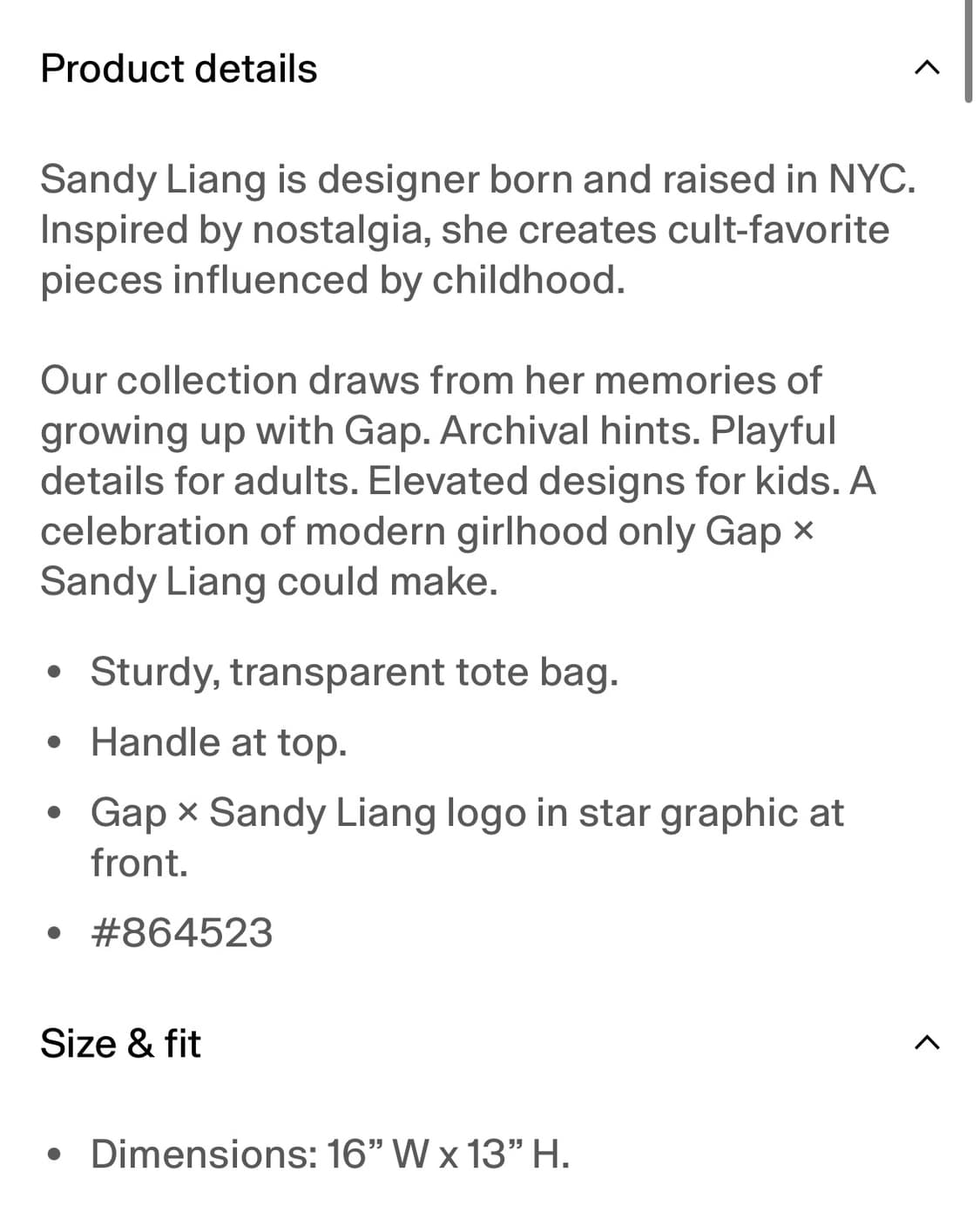 갭 샌디리앙 콜라보 클리어백 스몰 상품이미지3