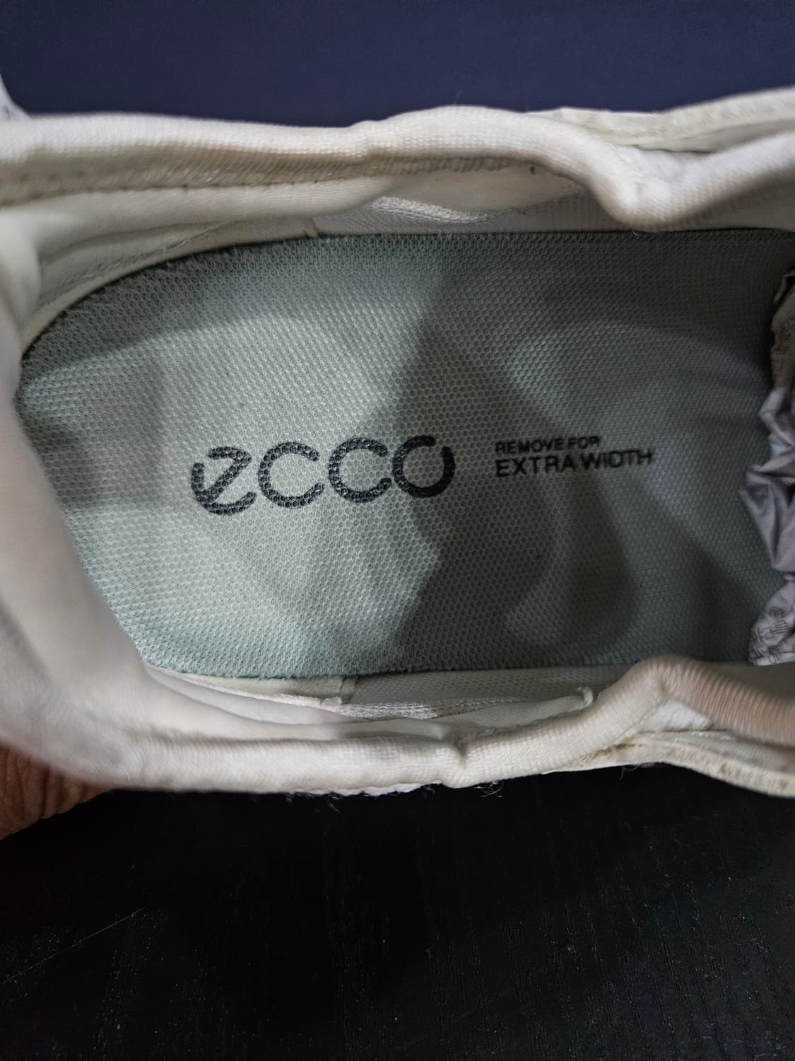 에코 바이옴 C4 보아 고어텍스 화이트 남성 270 골프화  상품이미지4