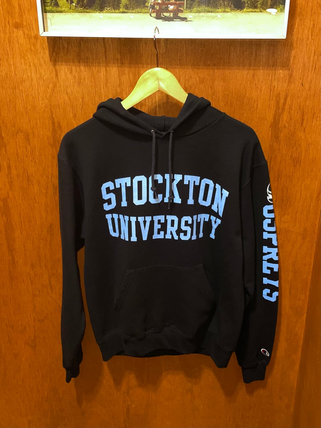 (S) Champion 챔피온 유니버시티 프린팅 후드티 상품이미지3