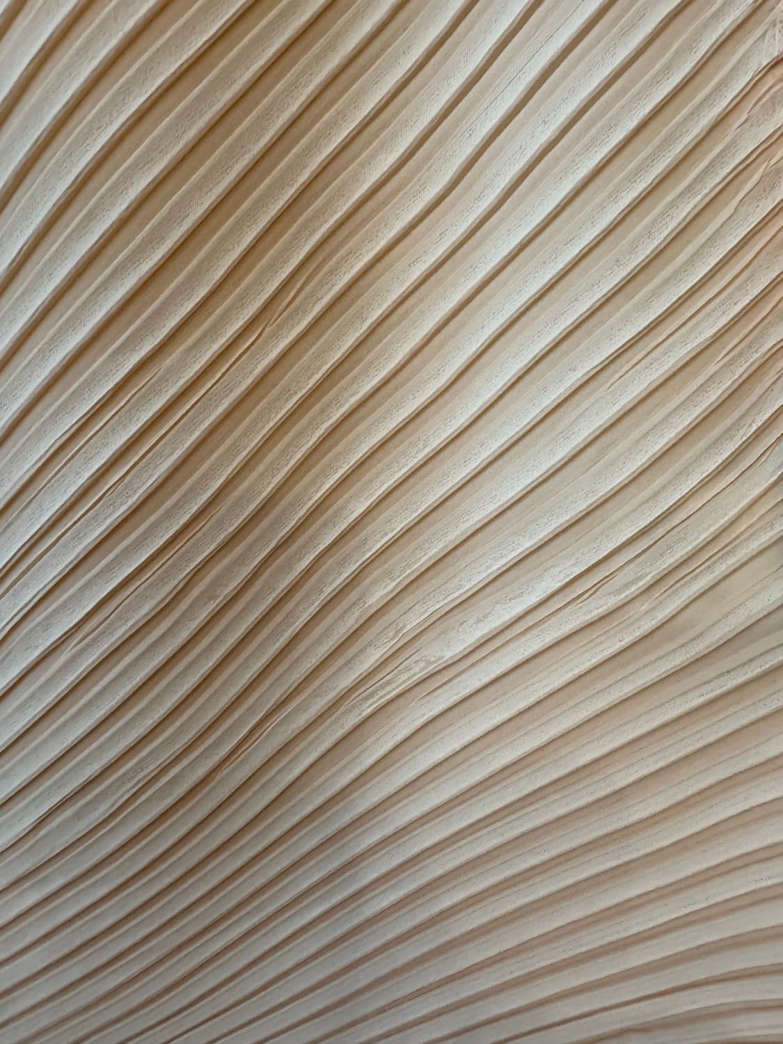 이세이미야케 플라스터 탑 라이트베이지 상품이미지4