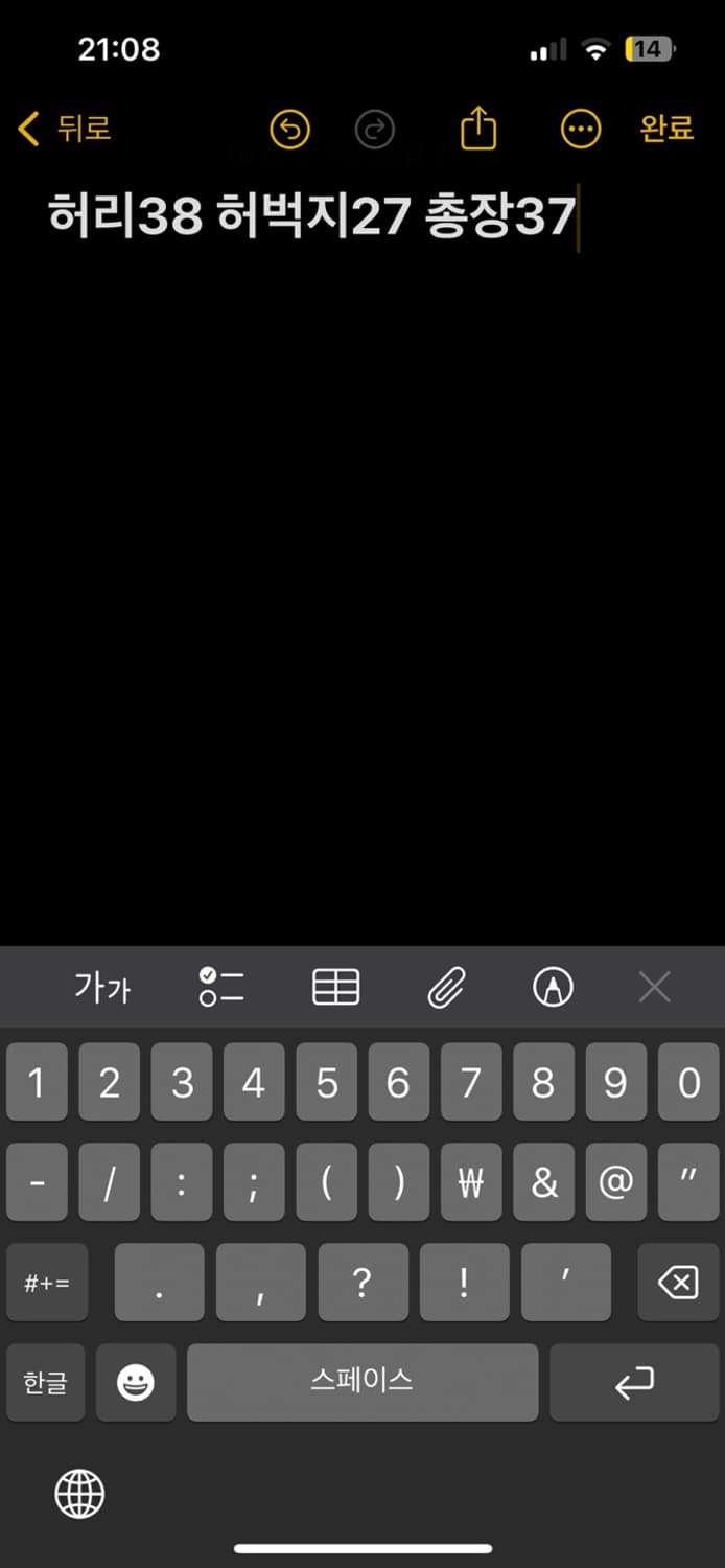 나이키 대한민국 밴딩 반바지 상품이미지7