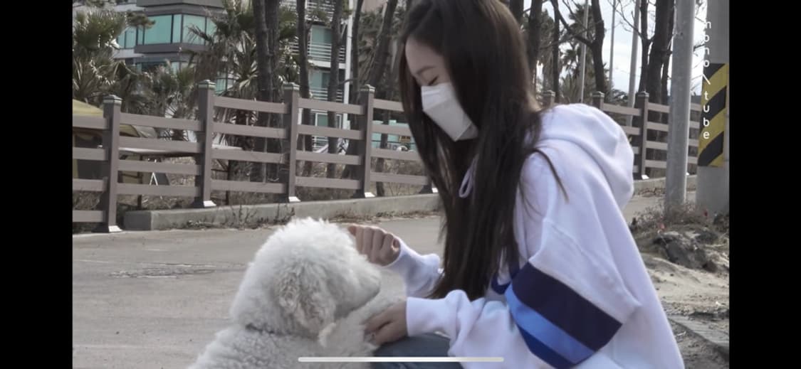 크리스탈 정수정 폴로 랄프로렌 후드티 xs 상품이미지2