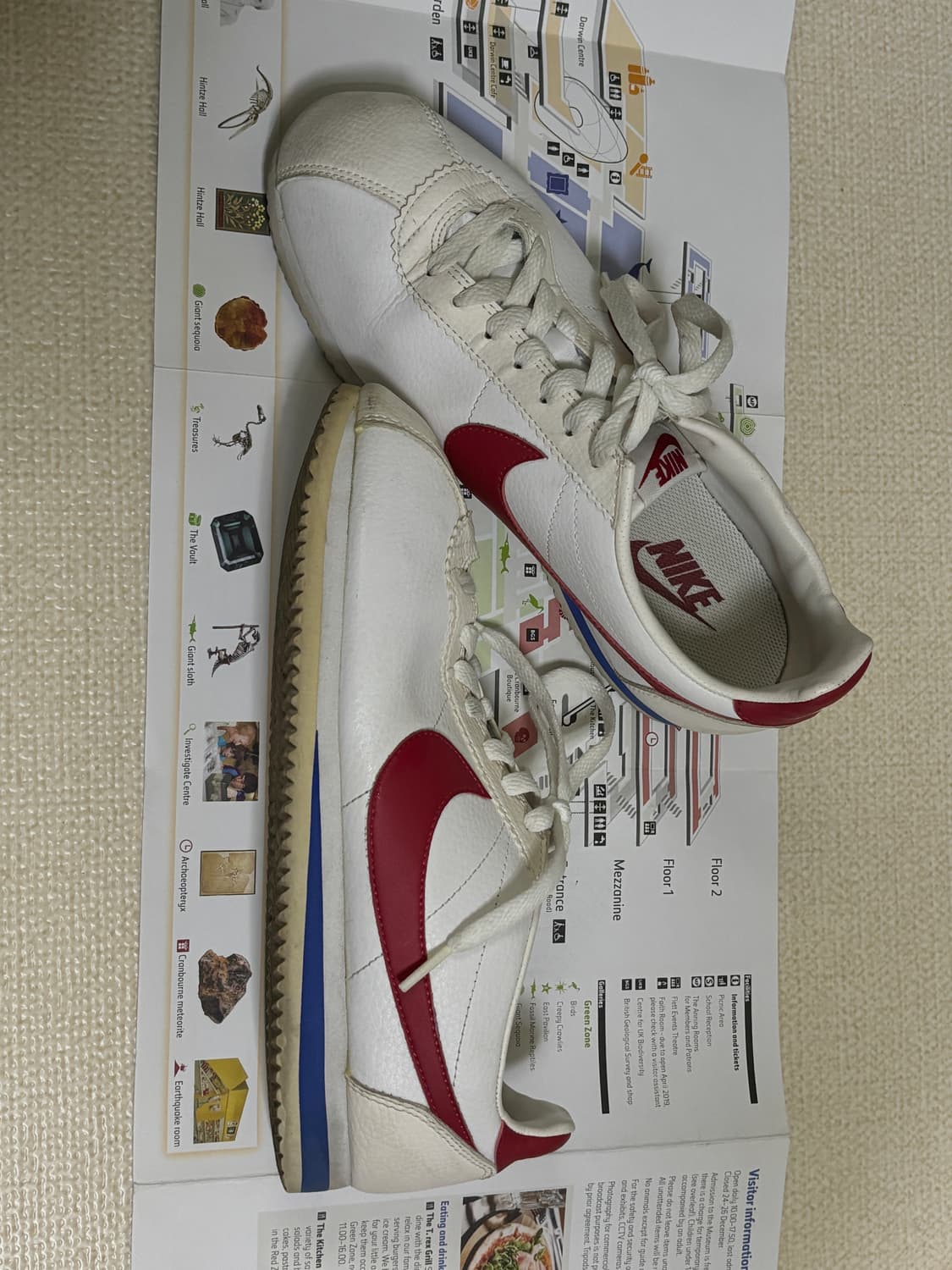 나이키 클래식 코르테즈 올레더 260 상품이미지7