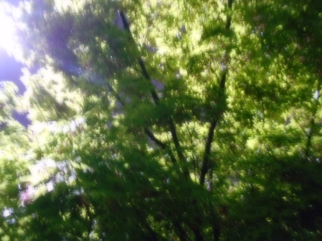 Nikon coolpix a100 상품이미지8