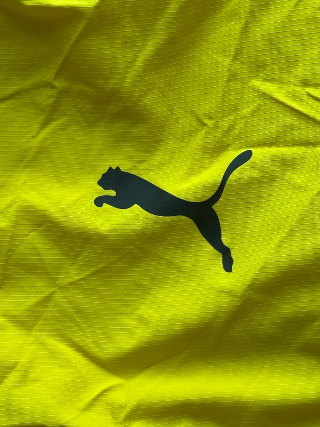 도르트문트 푸마 윈드브레이커 상품이미지3