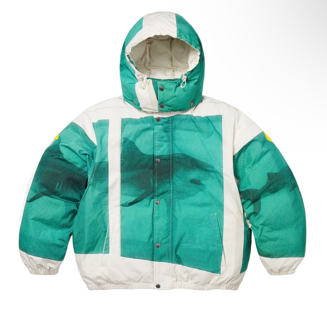 슈프림x데미안허스트 샤크 패딩  상품이미지2