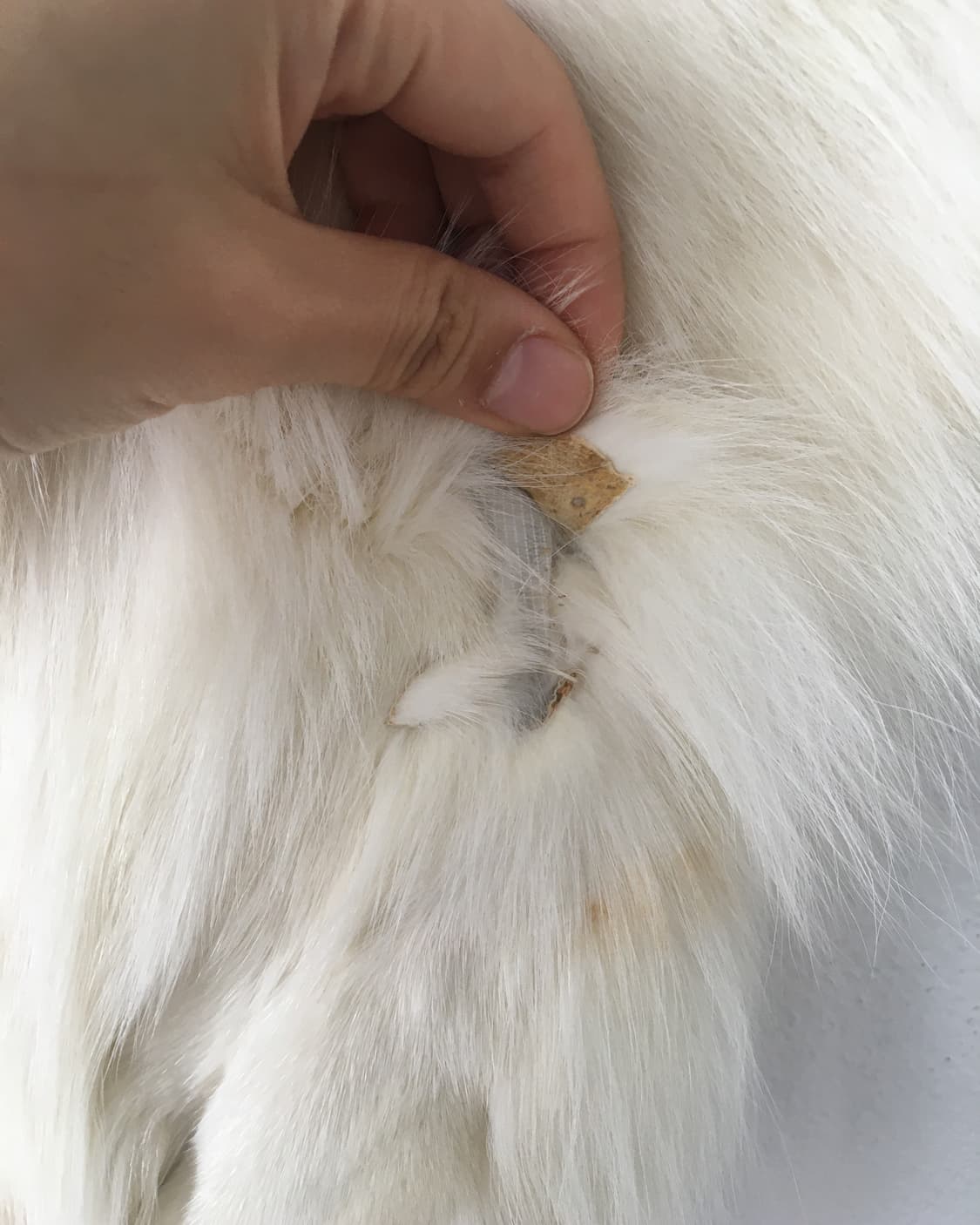 fur bolero 상품이미지3