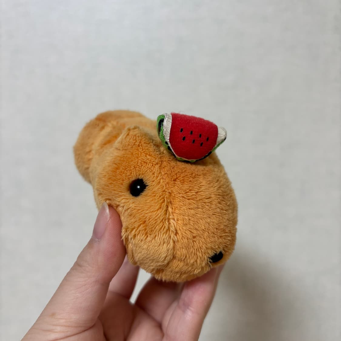 고전 빈티지 수박 카피바라상 인형 상품이미지1