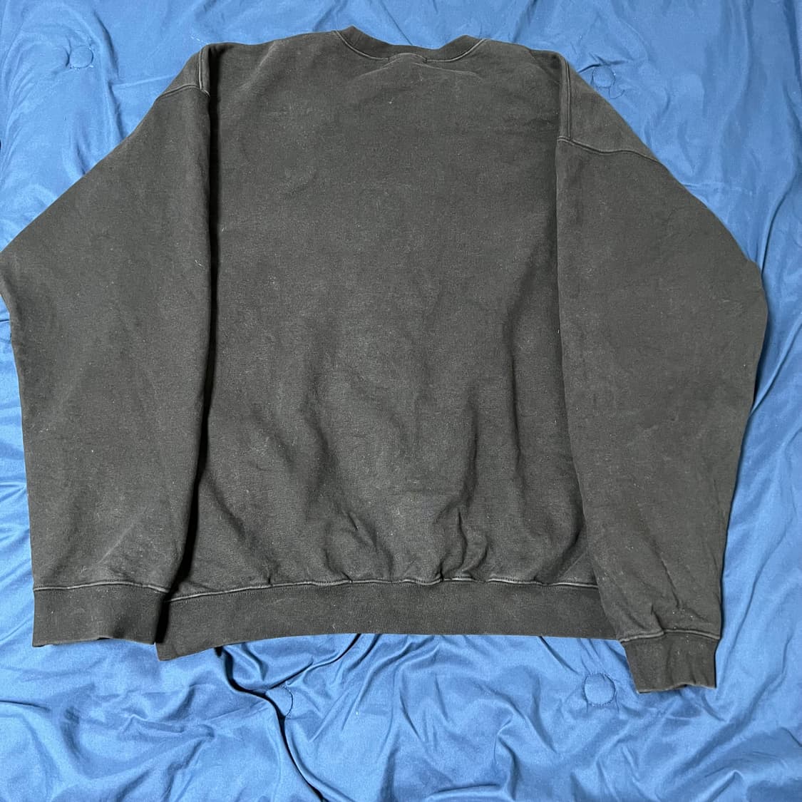 칸코 앵무새 릴렉스 맨투맨 상품이미지3